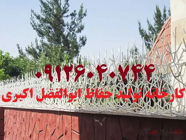 حفاظ شاخ گوزنی بوته ای 