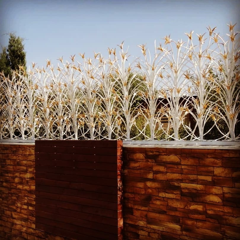 حفاظ شاخ گوزنی نخل مرداب