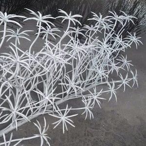 حفاظ شاخ گوزنی نخل مرداب