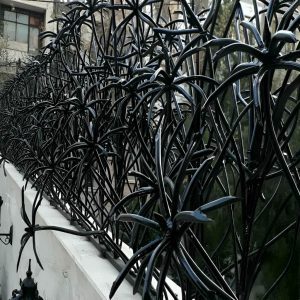 حفاظ شاخ گوزنی نخل مرداب